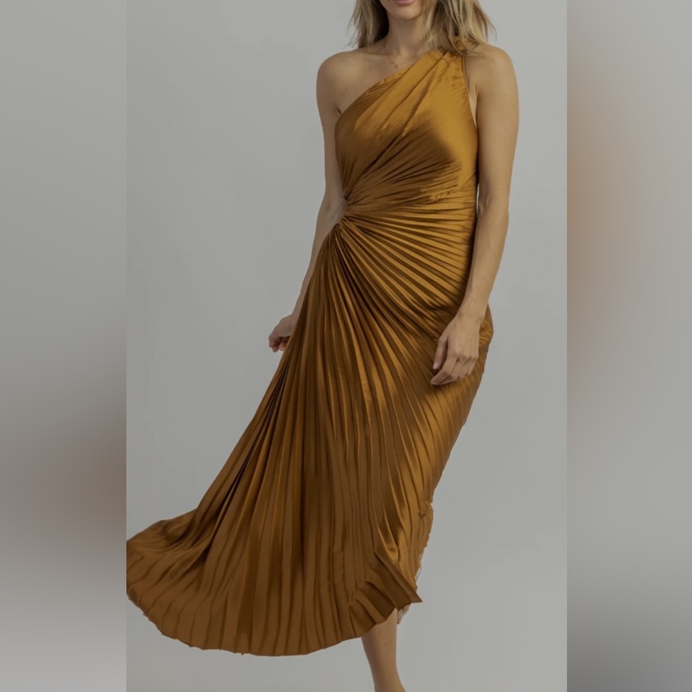 Brown Pleated Dress
